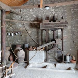 apolakkia elaiotrivio (2)