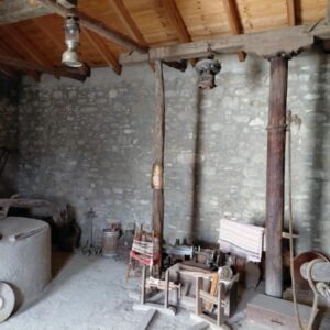 apolakkia elaiotrivio (3)