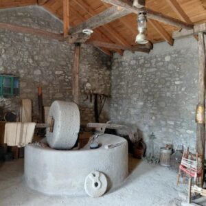 apolakkia elaiotrivio (4)